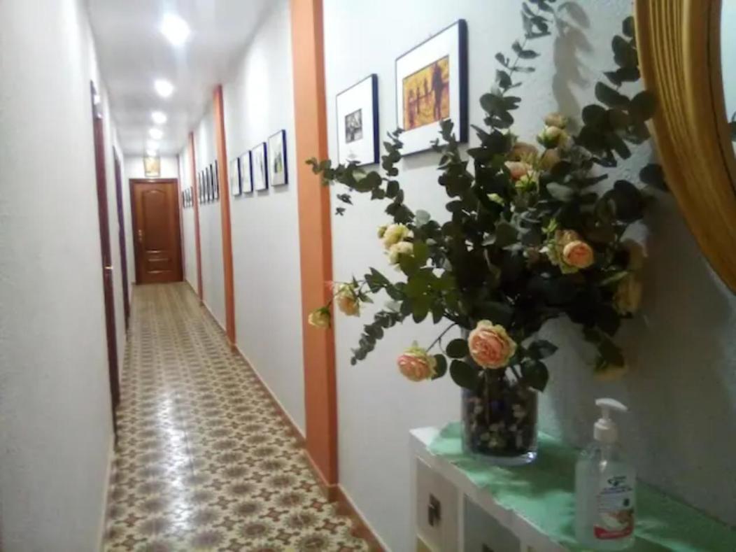 Las Golondrinas Zaragoza サラゴサ エクステリア 写真